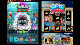 Slot Game Covers